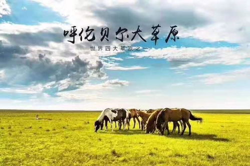 呼倫貝爾自由行自駕游全攻略 景點(diǎn)詳解與戶(hù)外運(yùn)動(dòng)策劃